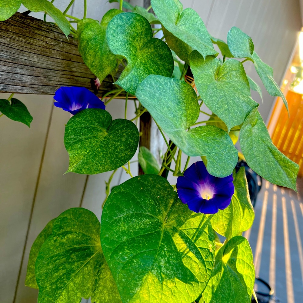 Broad is the way to destruction, narrow is the gate to Heaven.